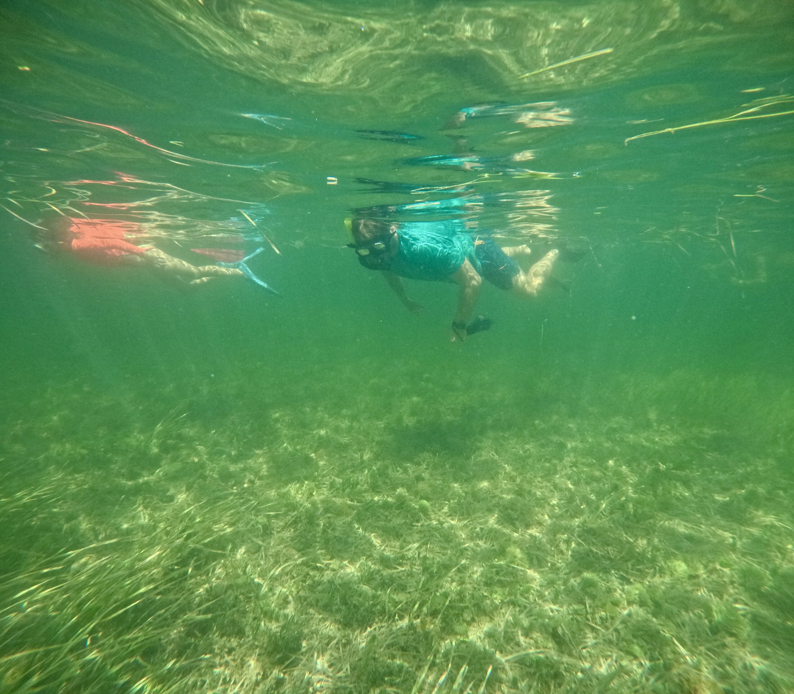 Scallop Charter in Crystal River, FL