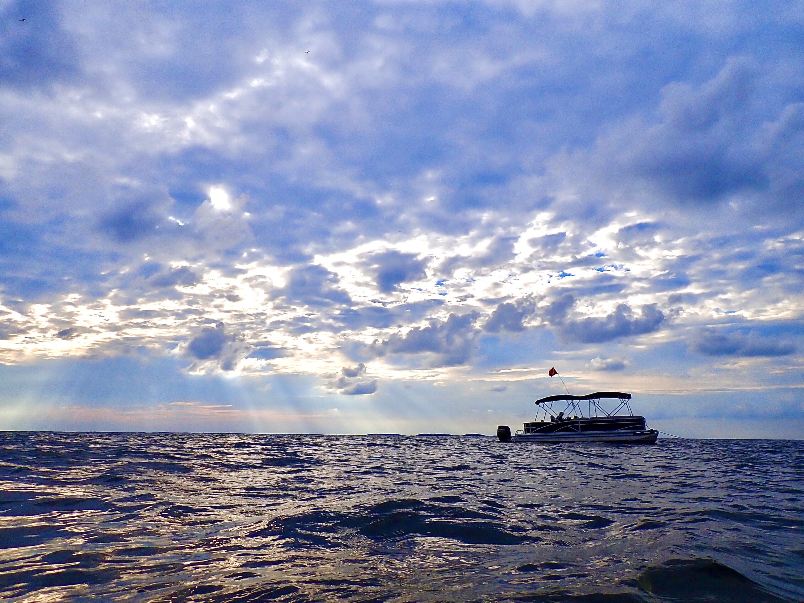 Scallop Charter in Crystal River, FL
