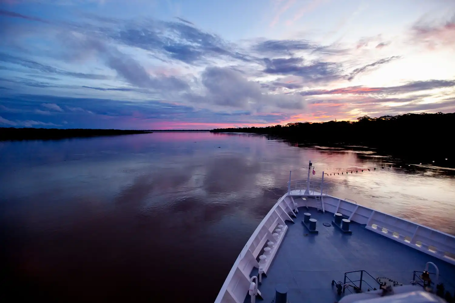 Scallop Charter in Fort Myers, FL